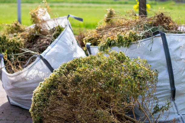 Best Hot Tub Removal  in Wapello, IA