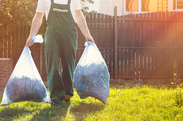 Trusted Wapello, IA Junk Removal Services Experts